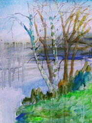 Bäume.106